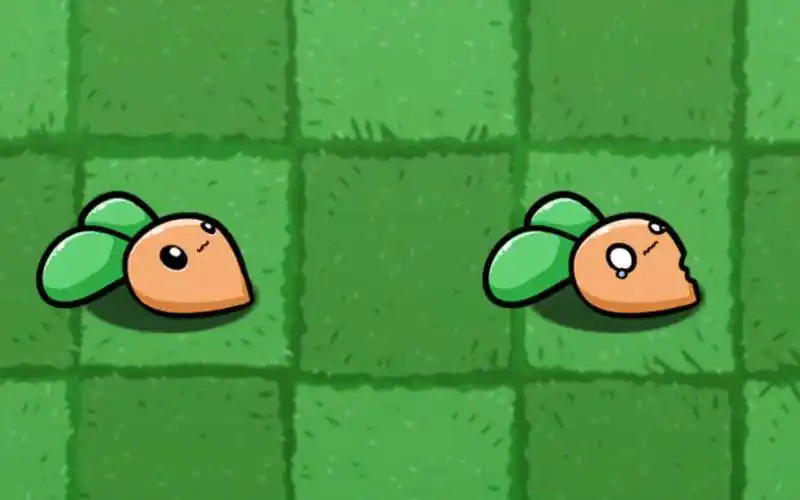 宅宅萝卜pvz合集