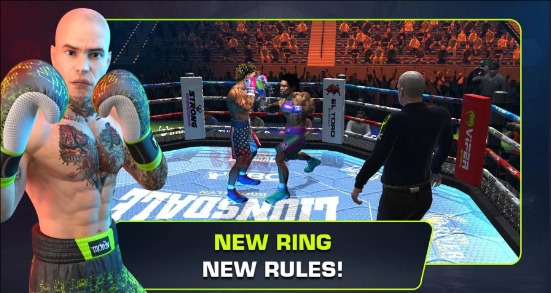 终极拳击冠军截图1