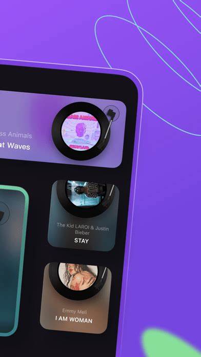 谜底黑胶音乐播放器截图1