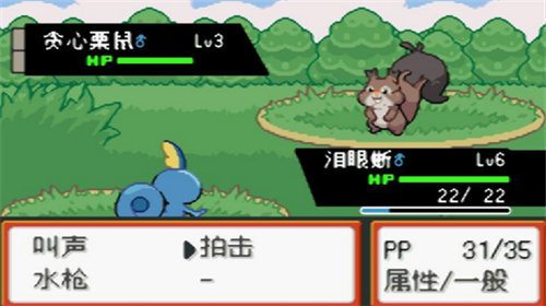 口袋妖怪最终红4.0.3汉化版截图4