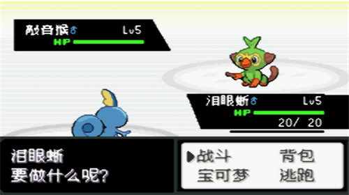 口袋妖怪最终红4.0.3汉化版截图2