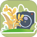 PhotoMathManual拍照软件