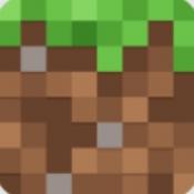 我的世界国际版共存版