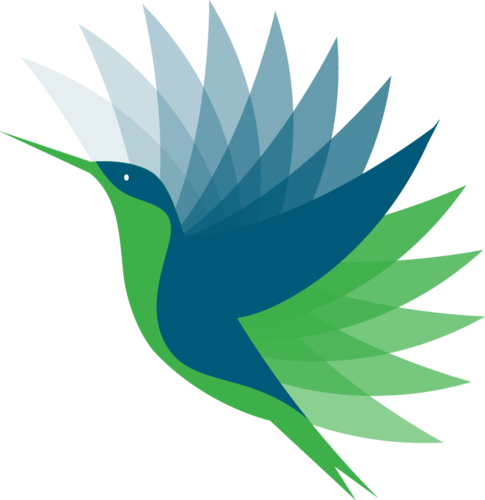 野火直播电视版本2025