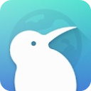 kiwibrowser中文官网版