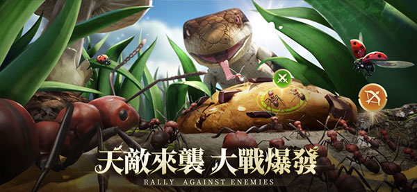 The Ants小小蚁国官方正版