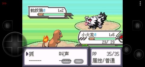 宝可梦女神贝塔4.3