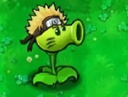 植物大战僵尸火影版游戏