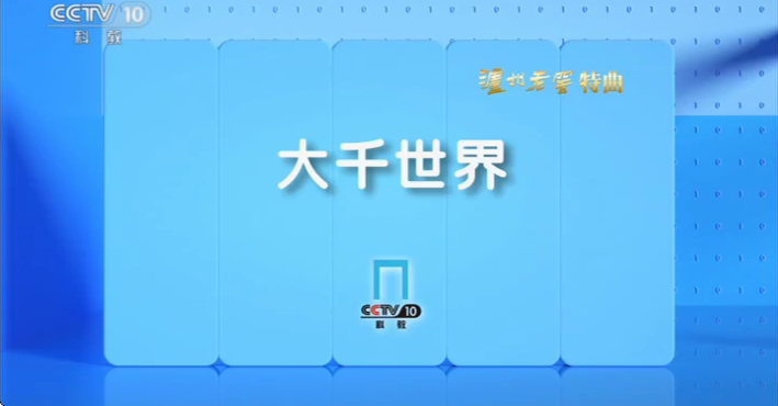 小鸟电视TV版截图3