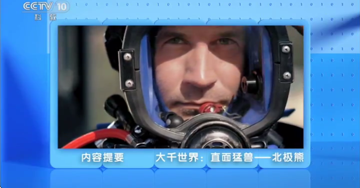 小鸟电视TV版截图2