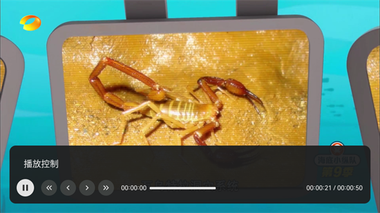 小飞电视2025修复版截图1