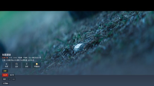 扶摇TVapp电视版2025