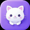 猫窝影音