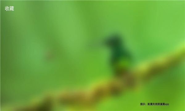 多面面试题截图2