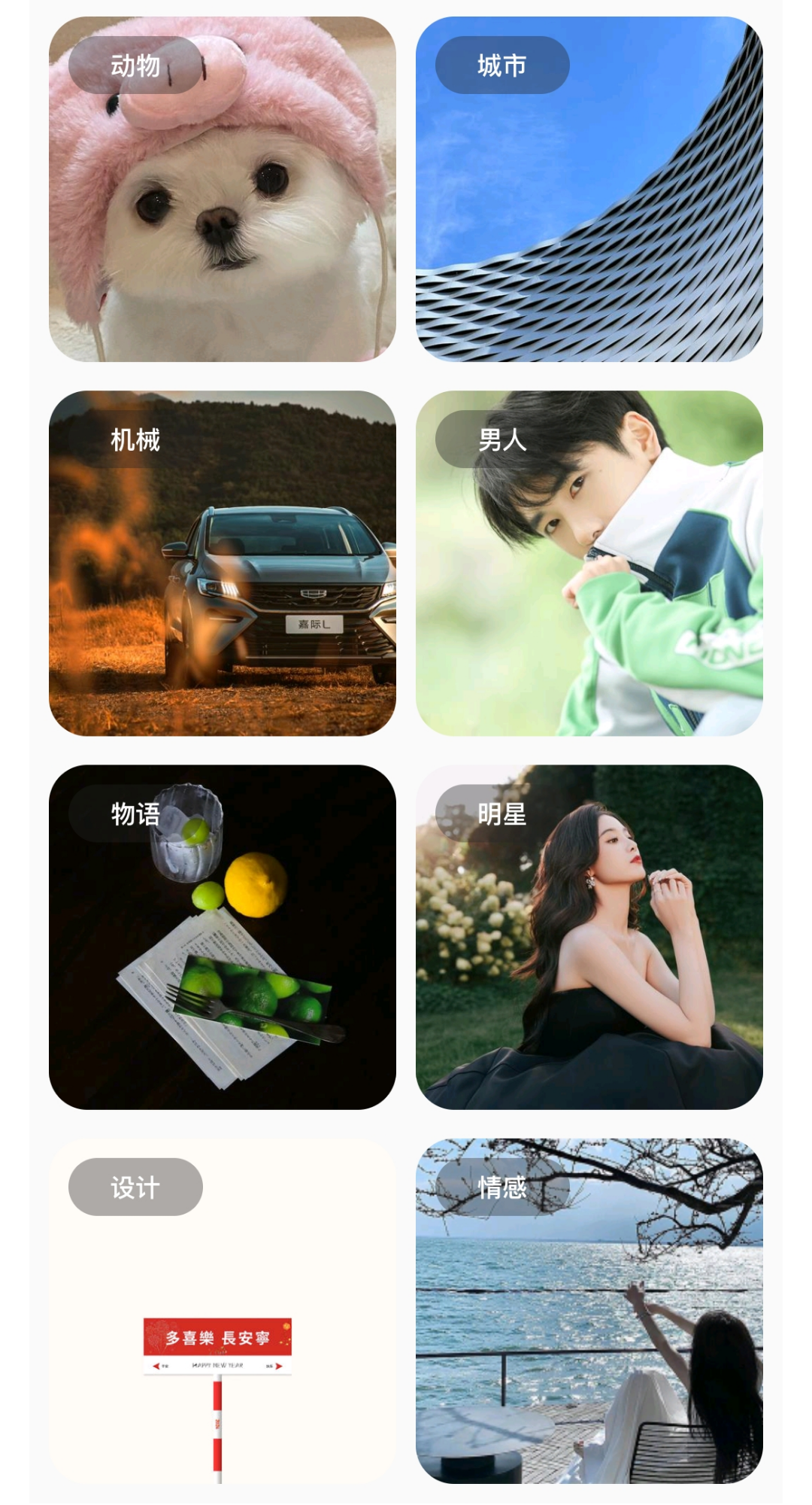 彩虹猫pro官方最新版本