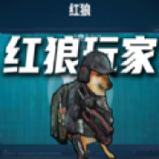 修勾三角洲行动