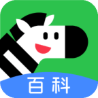 斑马百科app安卓版