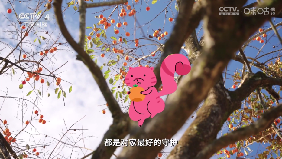 云海电视app最新版截图3