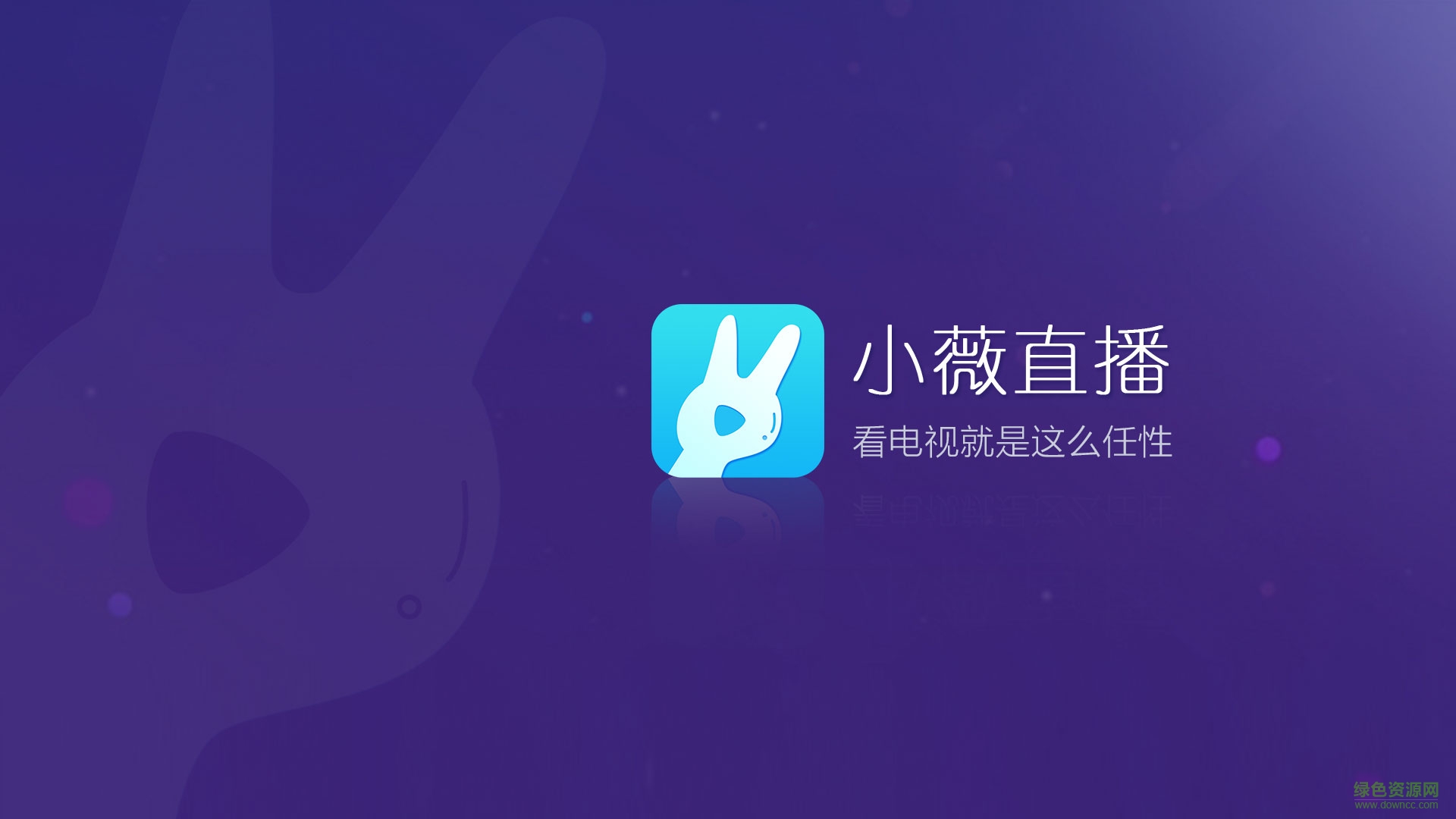 小薇直播tv免费版2025