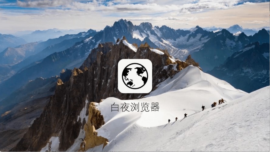 白夜浏览器电视版