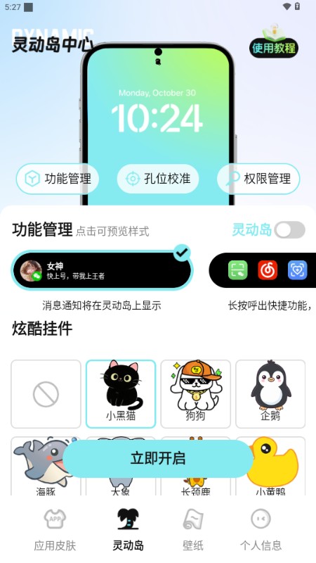灵动皮肤小组件app最新版