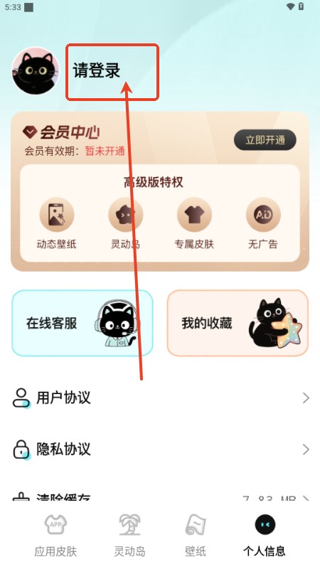 灵动皮肤小组件app最新版