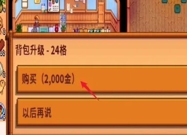 星露谷物语背包扩大图片4
