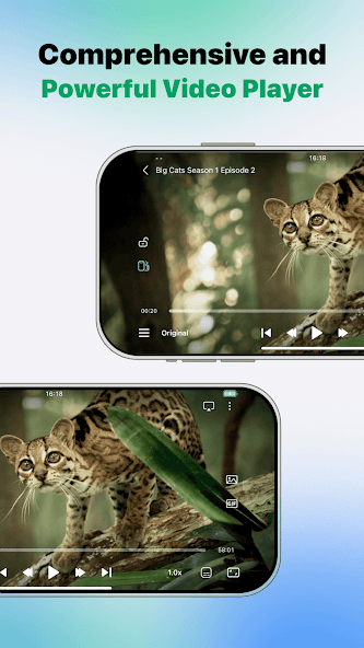 vidhub安卓版截图3