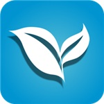 叶子tv最新2025