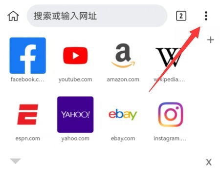 Kiwi浏览器图片5