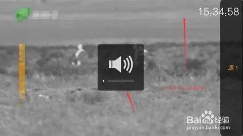 总裁直播TV版 1.0.0 最新版