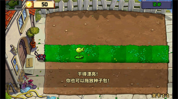 植物娘大战僵尸庄不纯截图3