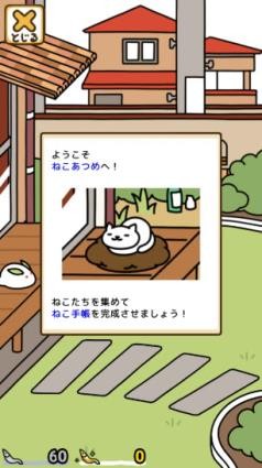 猫咪后院2官方正版