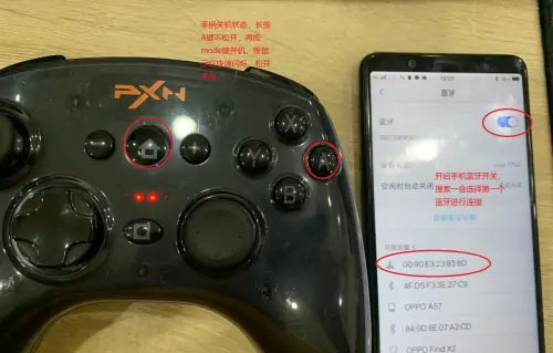 小鸡模拟器安卓免费版