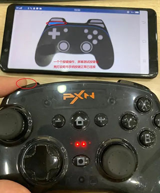 小鸡模拟器安卓免费版