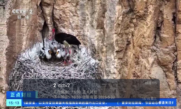 火烈鸟直播tv版