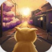 流浪的橘猫侠2025