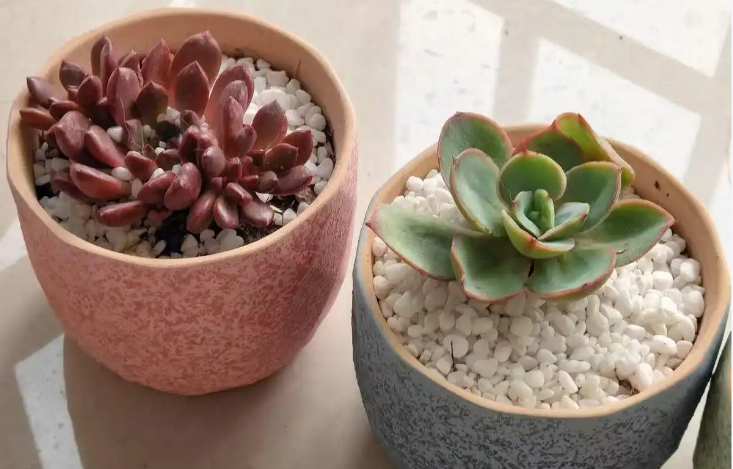 手机照片压缩200k的软件大全