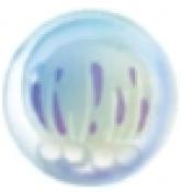 合成大水母游戏