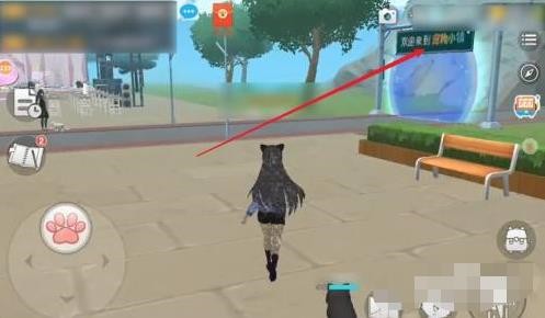 养了个猫官方正版图片16