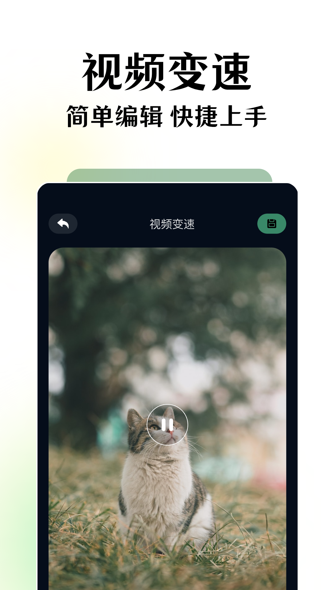 碧海剧场短剧app