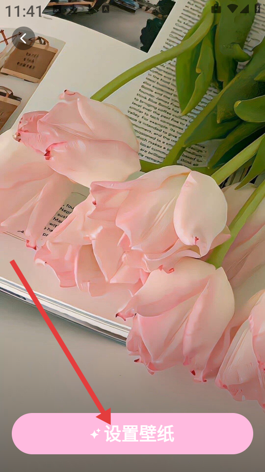 心动主题壁纸apk