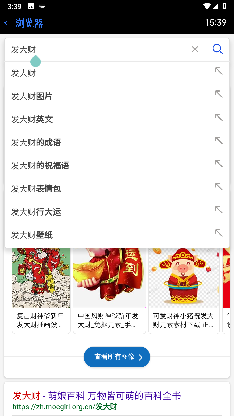 抬腕浏览器安装包