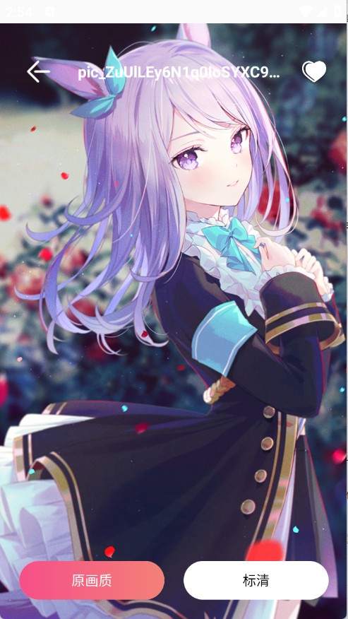 4K高清主题壁纸