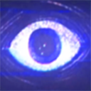 波比的游戏时间第五章正版