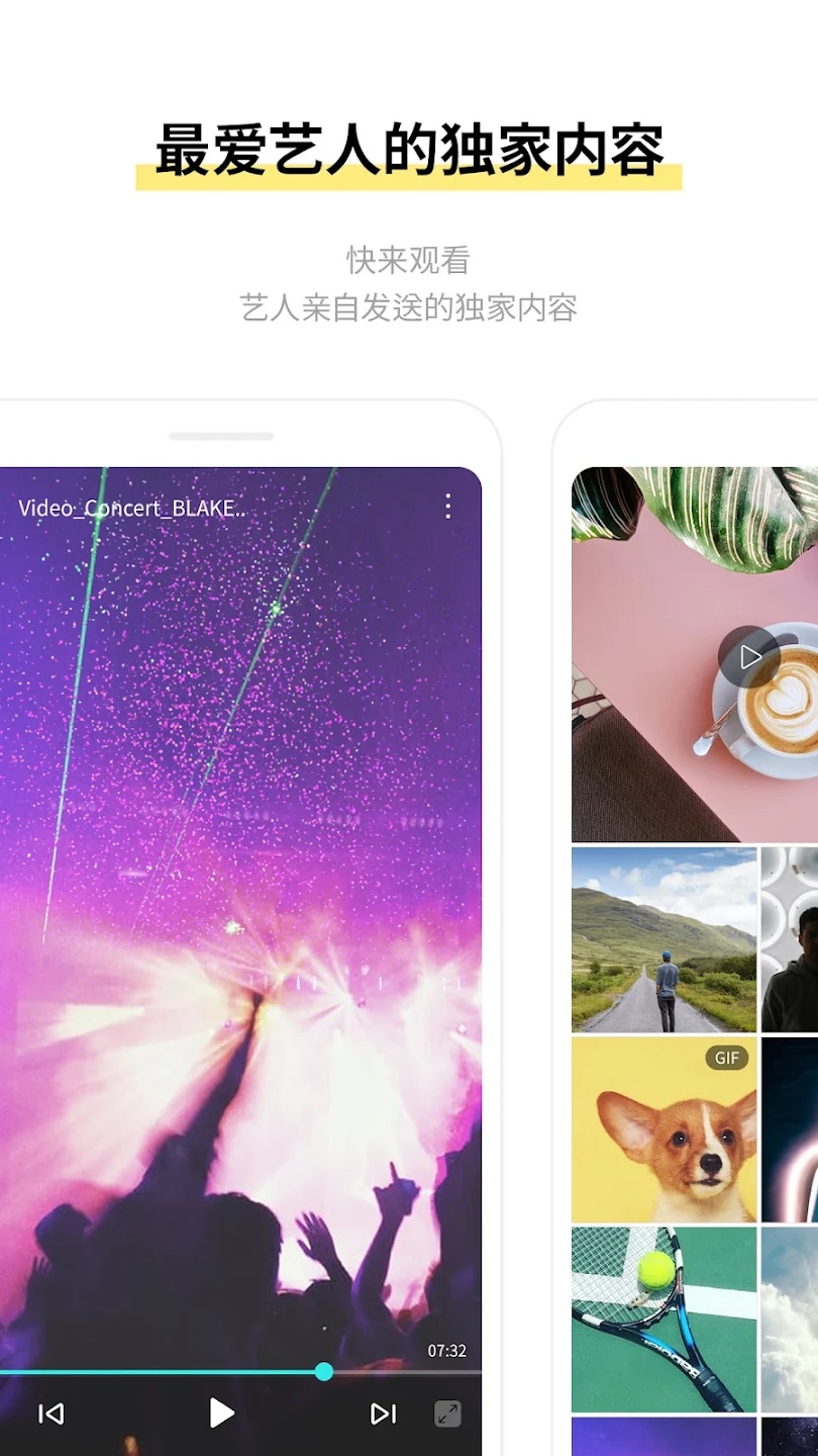 starshipbubble最新版