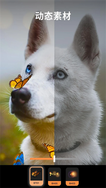 motionleap免费中文版截图1