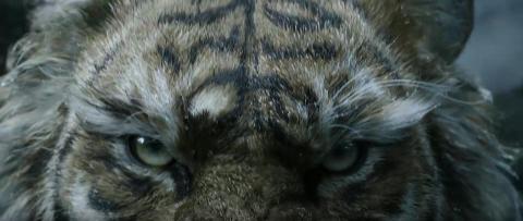 黑神话钟馗手机版