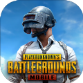 pubg4.0