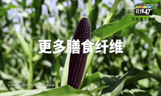 秋水TV盒子版截图2